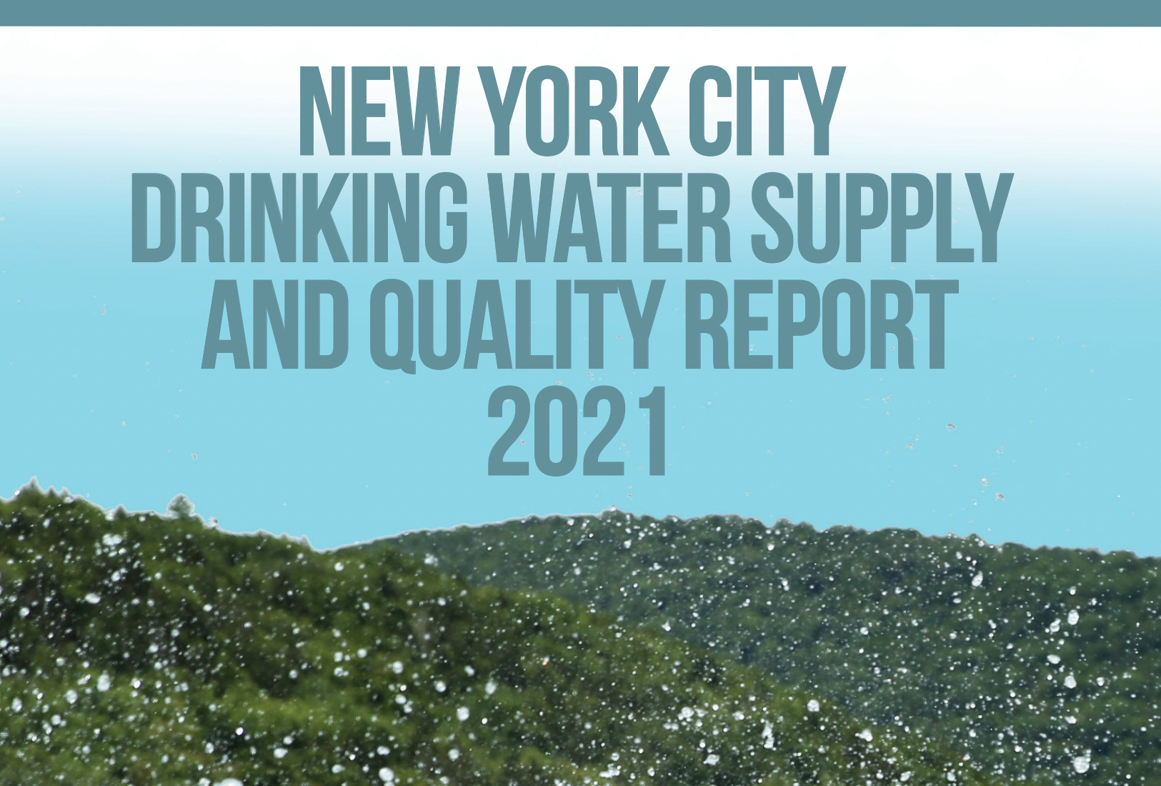 NYC Drinking Water Quality Report