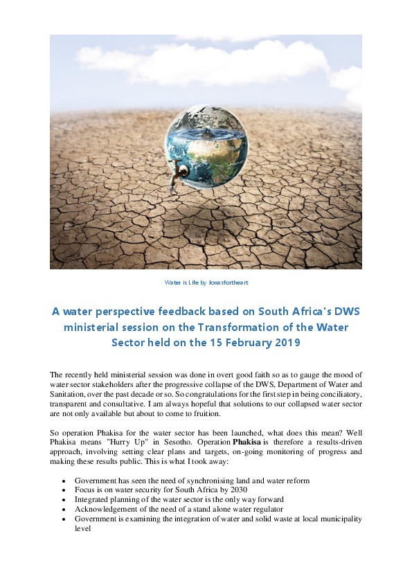 A Water Perspective Feedback in South Africa