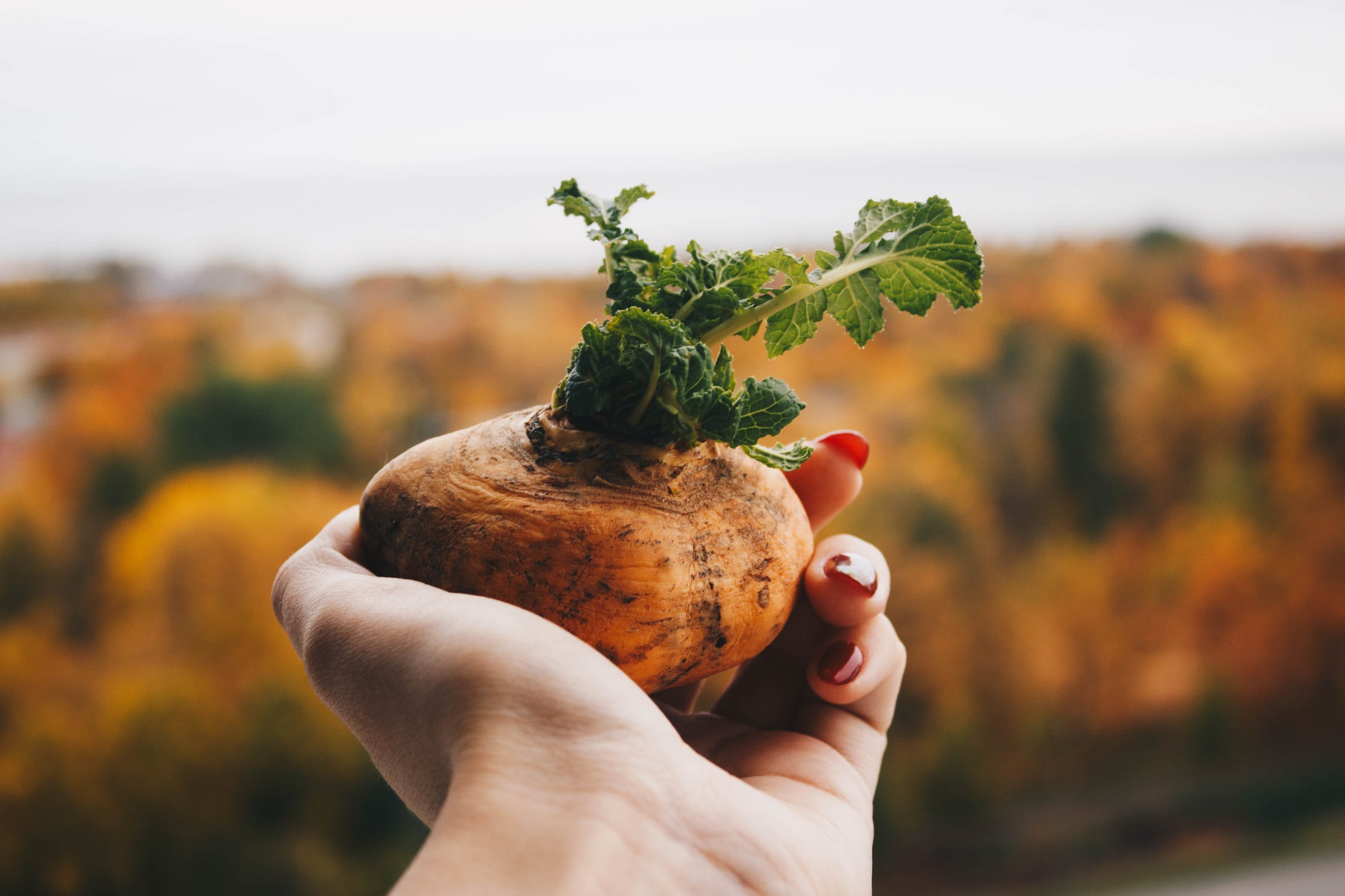 Farmers and Food Companies Hit the Dirt to Improve Soil Health