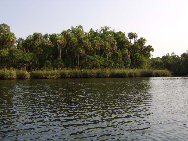 Chassahowitzka and Homosassa Rivers Get Water Restoration Road Map