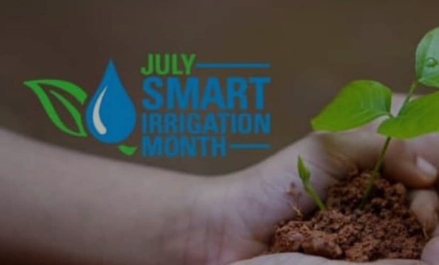 AQUA4D: Achieving a Quadruple Bottom Line for Smart Irrigation