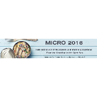 MICRO 2016 International conference in Lanzarote, Spain