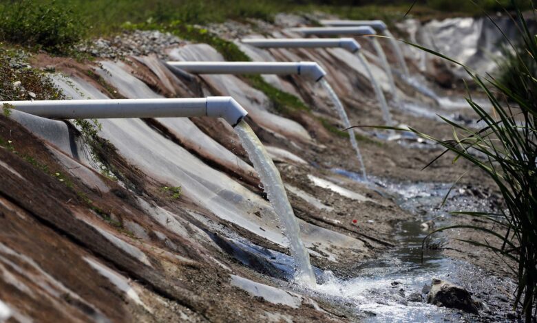 Mexico sees new wetlands as answer to water woes - La Prensa Latina Media A wetland created here by conscious human intervention holds out the p...