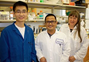 Nanoscientists to Remove Pollutants from Water