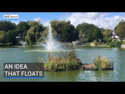 An Idea That Floats