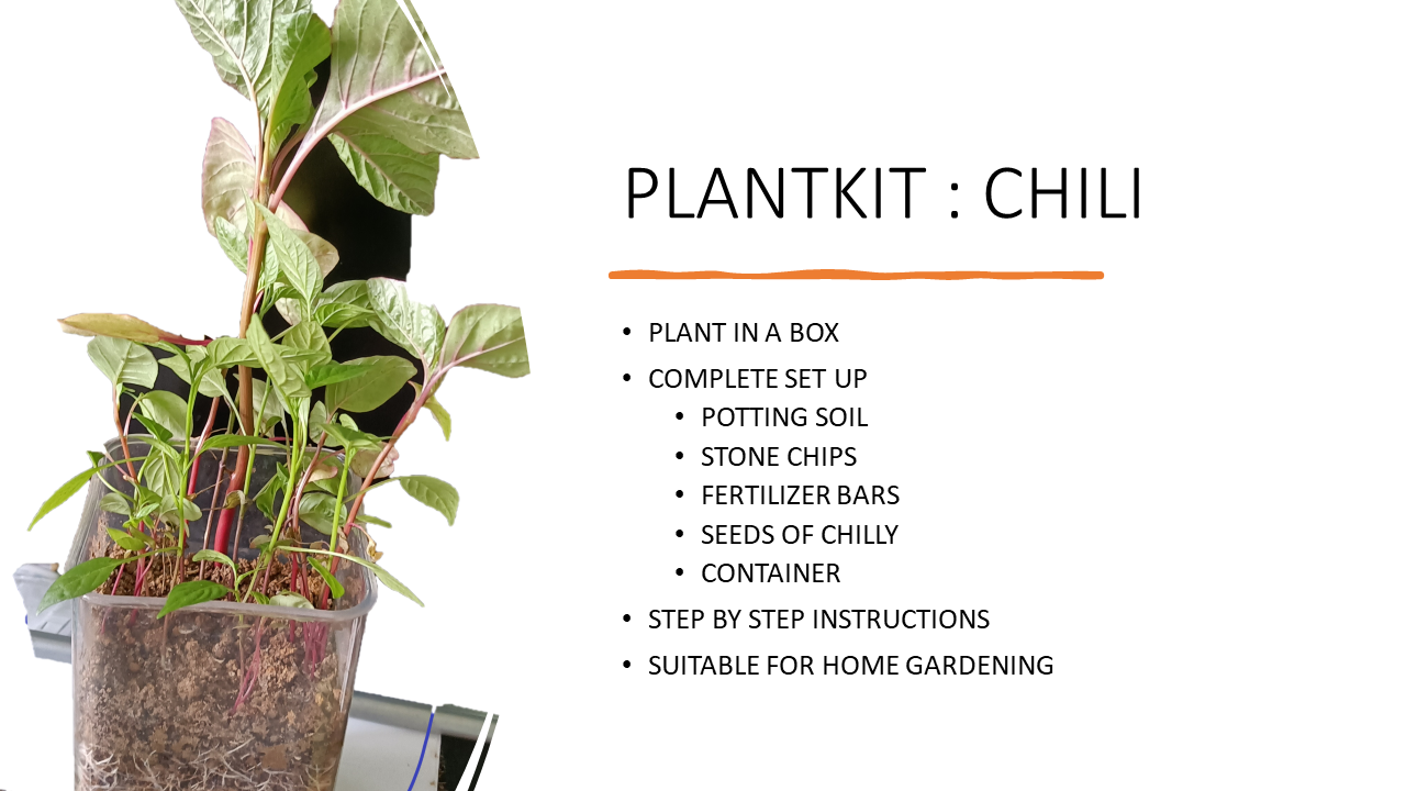 Complete plant kit comprising soil, seed, stone chips, fertilizer, container1) 5 Seeds: Chilli(5 nos)2)Container(10x10x17cm)3) Soil4)Stone chips...