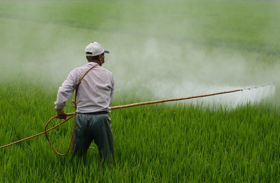 Persistence of Pesticides Threatens European Soils
