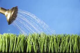 Crops watering by phone