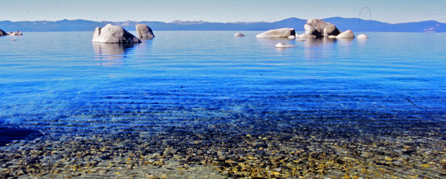 How Nitrogen Is Recycled Through the Lake Tahoe Ecosystem