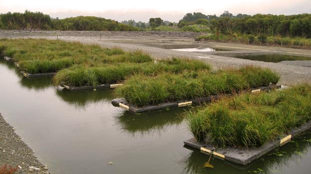 Floating Islands Improving Water Quality