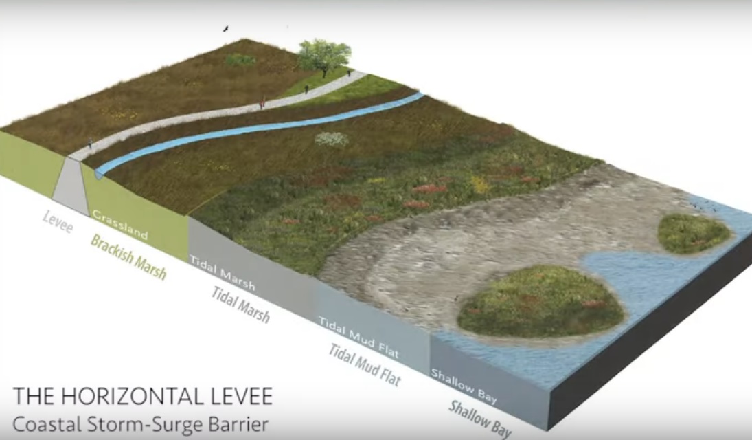 Horizontal Levee Adaptation: Green Infrastructure for Rising Sea Levels (Video)