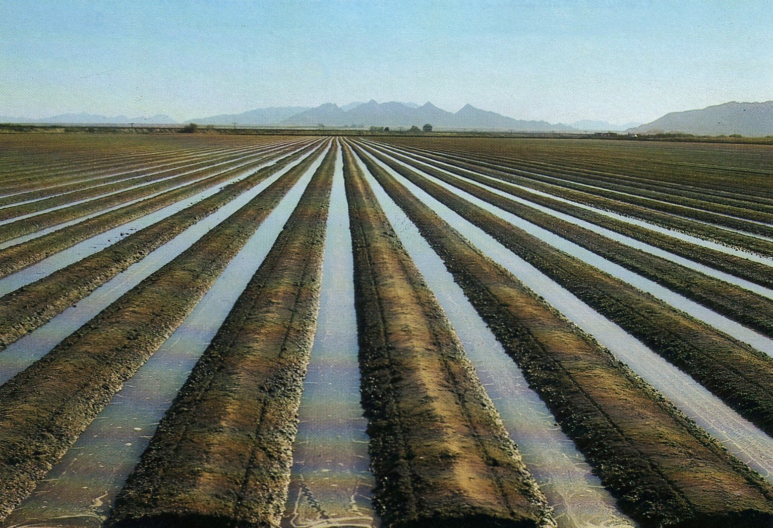 US Farmers Using Oilfield Wastewater