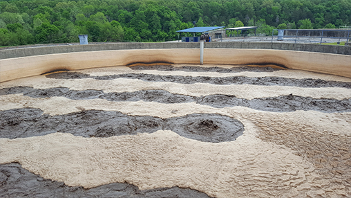Improved Sludge Pressing and Reduced Sludge Disposal Costs (Case Study)