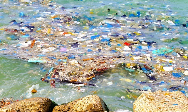 Microplastics at 'Alarming Levels'