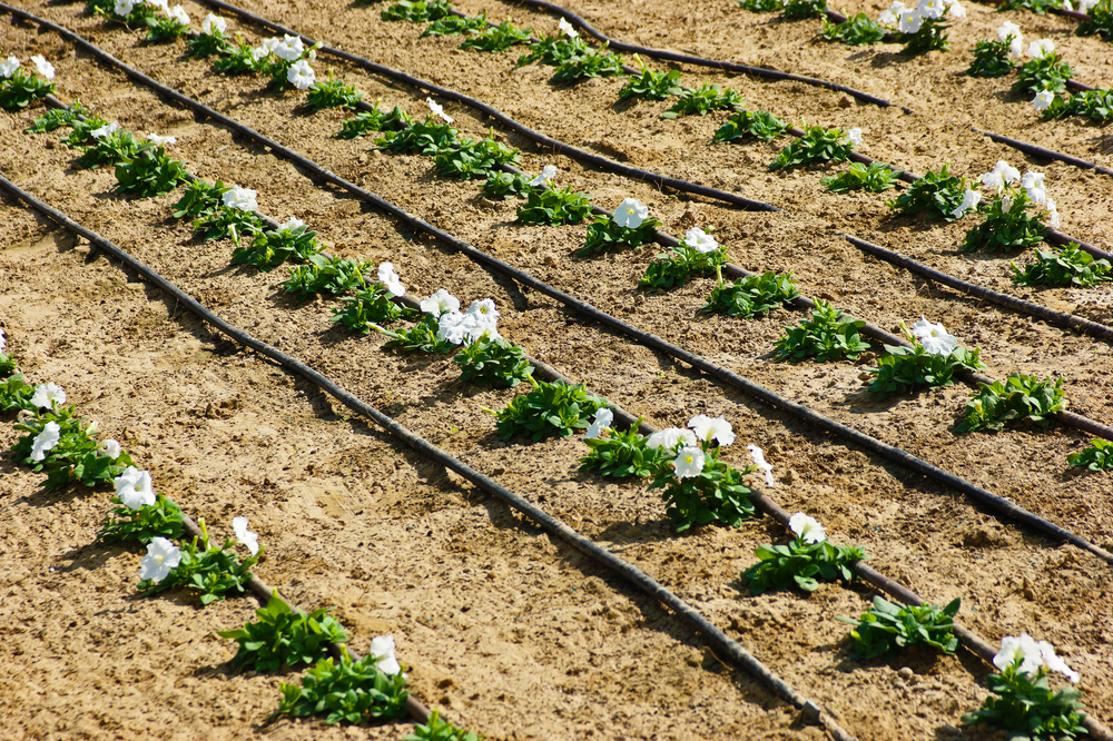 Toro Upgrades Popular Drip Irrigation Software