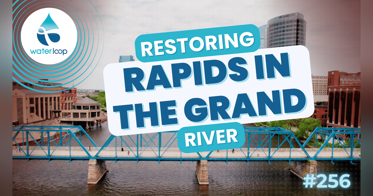 Restoring Rapids in the Grand River