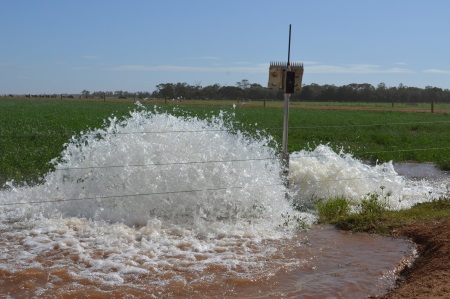 Dairy Faces New Water Reality