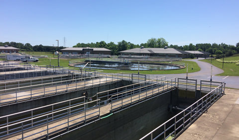Researchers Study Midge Fly Infestation in Wastewater Treatment Plants