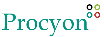 Procyon Infotech Pvt Ltd