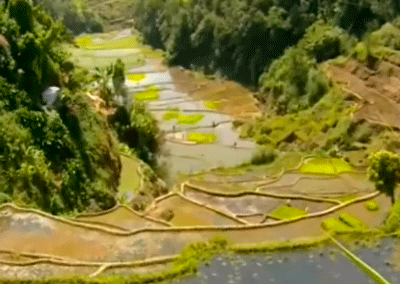 Severe Water Crisis in Asia