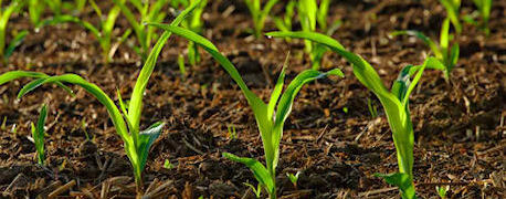 Soil Health Tool 