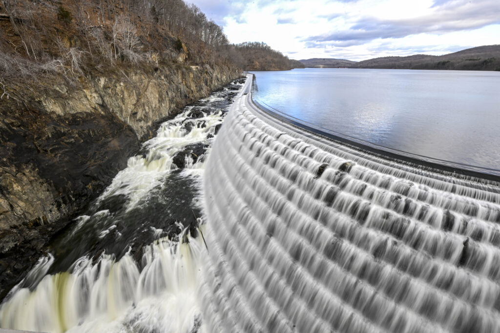 Invasive Species Spell Trouble for New York&rsquo;s Beloved Tap Water - Inside Climate News