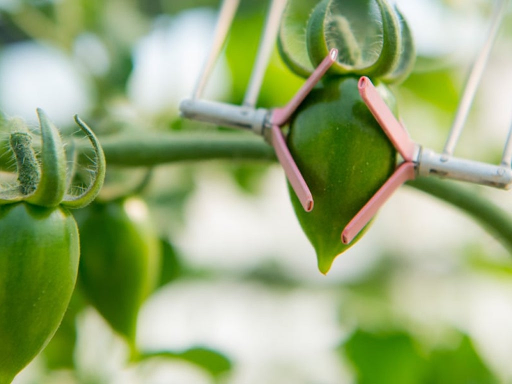 500,000 African Farmers Are About to Get ‘Sensorless’ Water-Saving Irrigation Systems