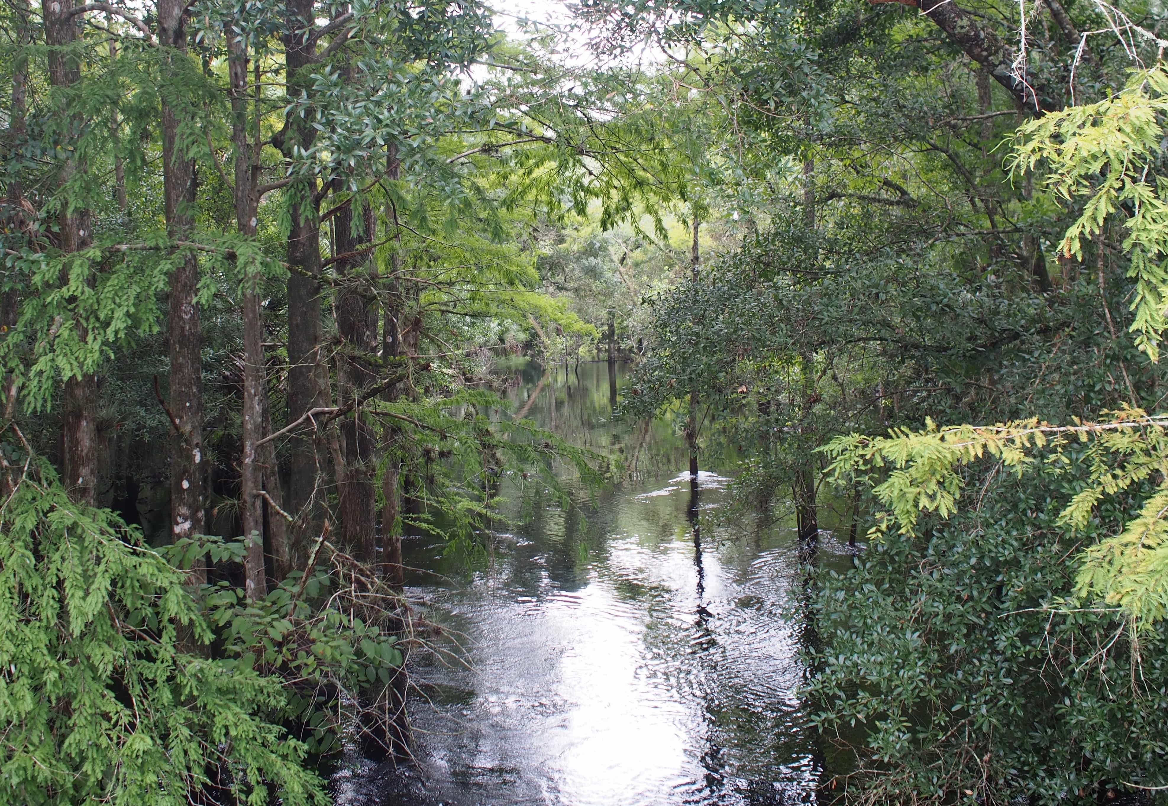 Orange County voters put environmental protections into charter