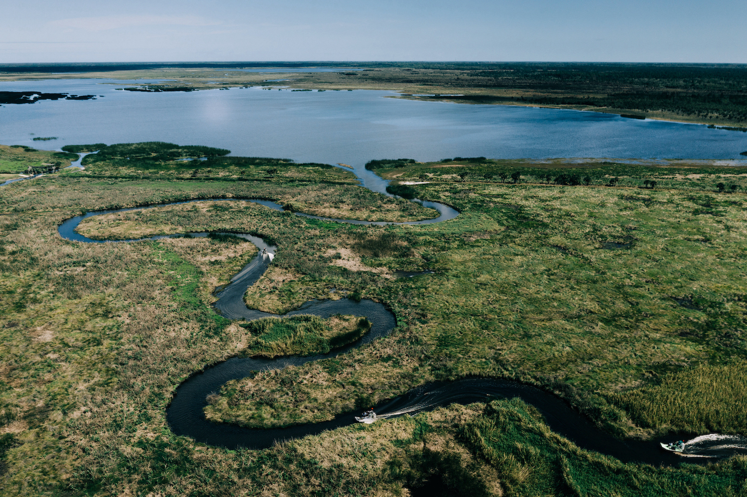 The fight to reform Florida&#039;s dependence on chemical herbicides - Captains For Clean Water