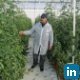 Faycel Ben Achiba, S.O.D.A.S - inj agro