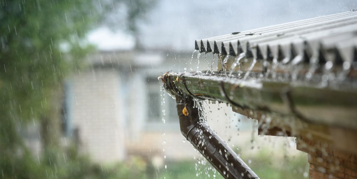 Rainwater harvesting is Pinterest's gardening craze for 2023 &mdash; here's how to do it
