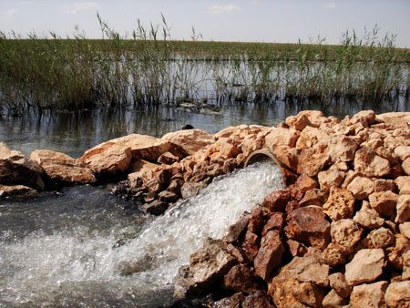 Constructed Wetlands: Water Treatment Technology at Shell