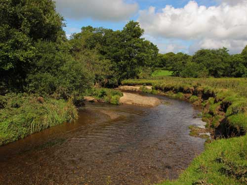 Lower Water Quality Than 20 Years Ago in Ireland