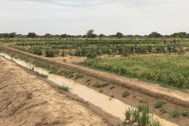 Collaborating for irrigation access solutions: Where policy and engineering meet