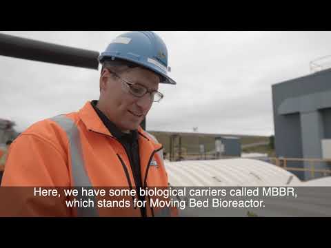 Biological Water Treatment Plant Successfully Improves Water Quality (Video)