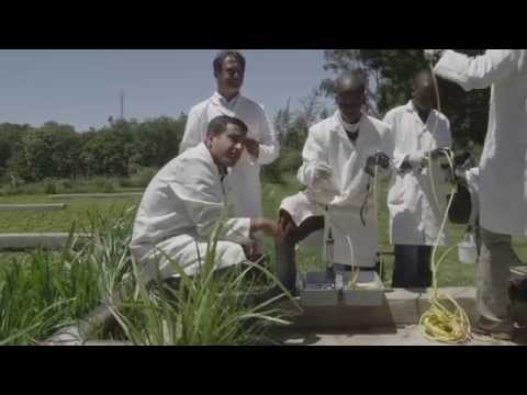 UNESCO-IHE Institute for Water Education