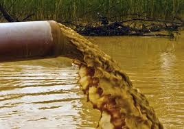 Farming with Toxic Water