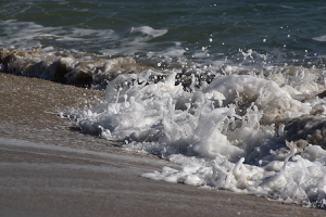 Ocean Waves as Efficient Renewable Energy