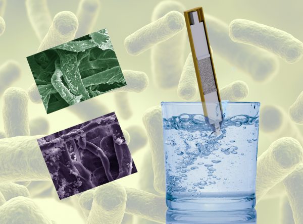'Sweet' Solution for Removing E. Coli from Drinking Water