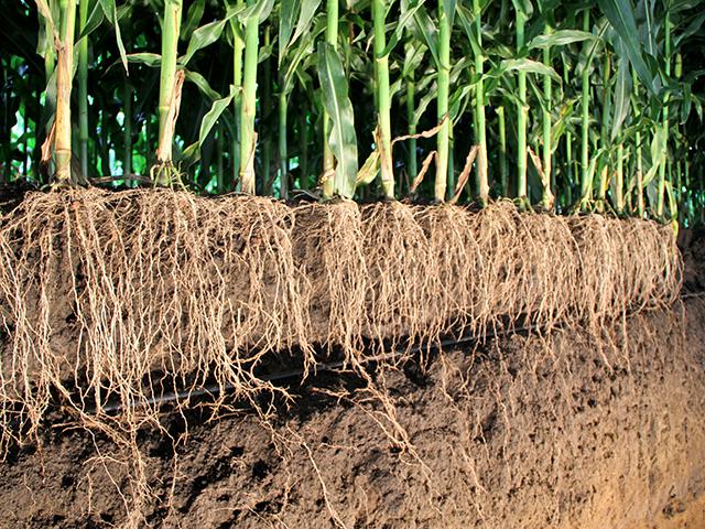 4 Benefits of Using Agro-Z Sustainable Soil Additive To Conserve Water  in Agriculture Operations