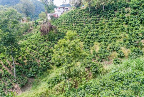 Water management by Colombian coffee-growers