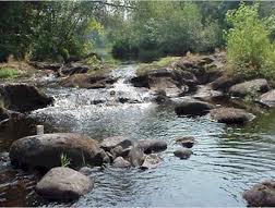 How Carbon Dioxide Ends up in Streams and Rivers