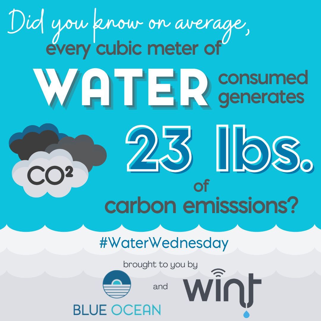 https://www.linkedin.com/posts/marvelgentryharmon_carbonemissions-carbonfootprint-waterwednesday-activity-7029558909220638720-misD?utm_source=sh...