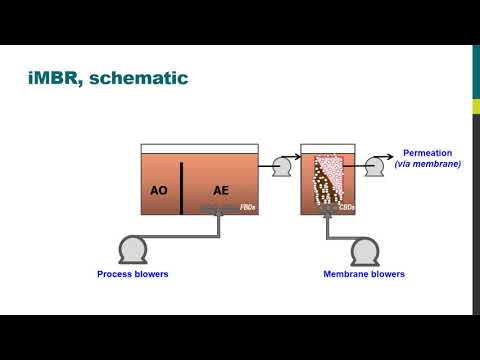 ​​​​​​​​​​​​​​The Immersed ​Membrane ​Bioreactor ​Process (VIDEO)