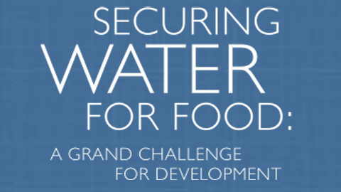 Securing Water For Food: A Grand Challenge For Development
