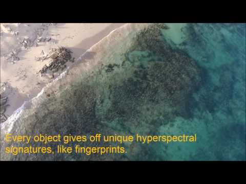 Miniaturised Hyperspectral Cameras to Monitor the Landscapes
