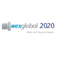 WEX Global 2020