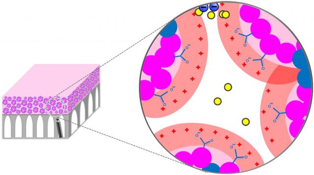 New Filters Could Enable Manufacturers to Perform Highly-selective Chemical Separation