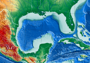 Gulf of Mexico Sets a New Record for the World's Largest 'Dead Zone'