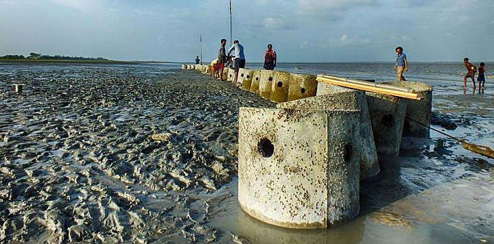 Artificial Oyster Reefs for Erosion Reduction